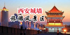 国模肛交中国陕西-西安城墙旅游风景区